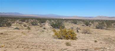 0 Joshua Tree Rd unit IG25042001, Johnson Valley, CA 92285 - photo 3
