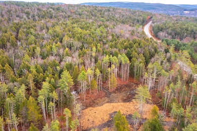 40 E Putney Brook Rd, Putney, VT 05346 - photo 5