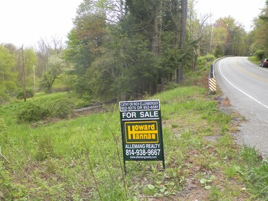 0 Patchin Hwy, Cherry Tree, PA 15724 - photo 7