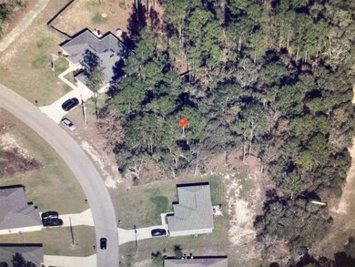 0 SW 143 Lane Rd unit MFROM711659, Ocala, FL 34473 - photo 5