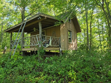 000 Wedgewood Cove Rd, Sylva, NC 28779 - photo 2