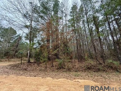 0 Maypop Ln unit 2025003555, Meadville, MS 39653 - photo 2