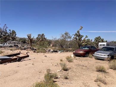 26305 N Sandy Point Dr, Meadview, AZ 86444 - photo 4