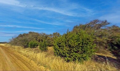 1279 Paint Brush Ct, Whitney, TX 76692 - photo 4