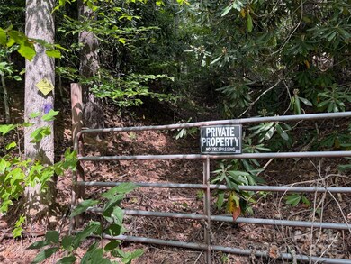 508 Old Bee Tree Rd, Swannanoa, NC 28778 - photo 7