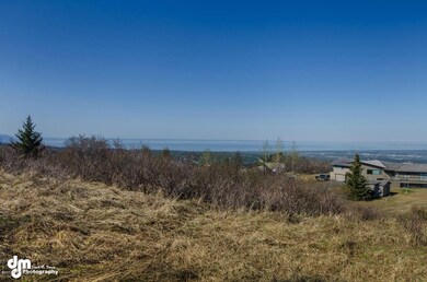 10200 Stroganof Dr Anchorage-large-002-V
