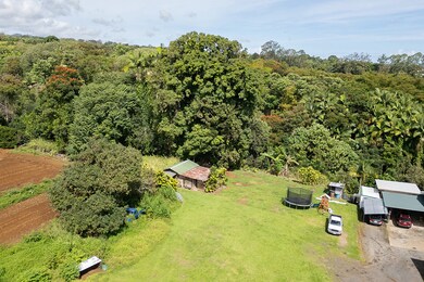 27-1958 Kaaukai Place, Papaikou, HI 96781 - photo 7