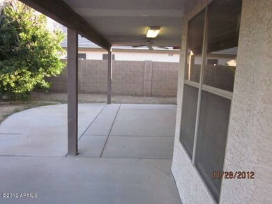 Backyard (4)