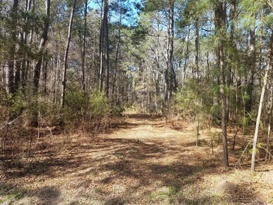 Driveway leading into property
