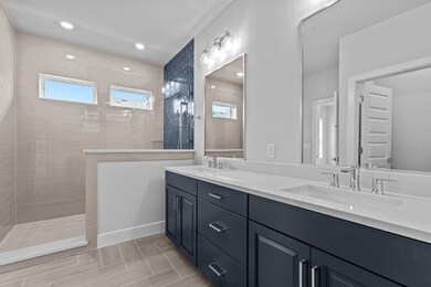 Owner's Bath