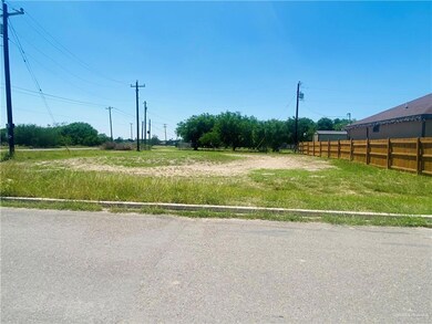 837 Pelican St, Alamo, TX 78516 - photo 2