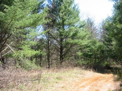 Lot to the left-view from grass road
