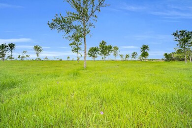 TBD Lot 175 Waterfront Club, Corsicana, TX 75110 - photo 3