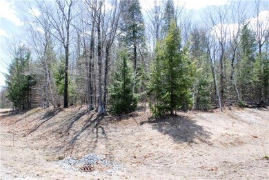 65 Grandview Rd, Conway, NH 03860 - photo 5