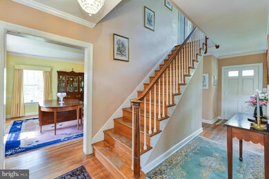 7010 Marlan Dr, Alexandria, VA 22307 - photo 5