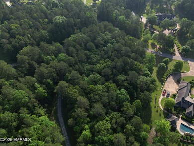 DJI_0222