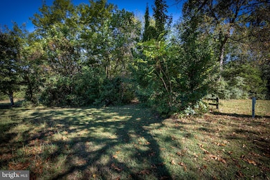 0 Orange Rd unit VAMA2002476, Pratts, VA 22731 - photo 3