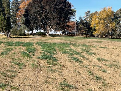 1676 200th Ave, Decorah, IA 52101 - photo 2