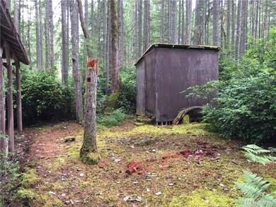 9428 Kootenai Dr unit AI, Anderson Island, WA 98303 - photo 7