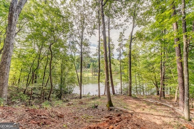 474 White Pine Cir, Demorest, GA 30535 - photo 3