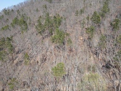 1135 Embry Ct, Ranger, GA 30734 - photo 6