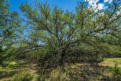 239 Big Buck Cir unit 2, Mountain Home, TX 78058 - photo 7