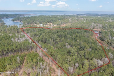 Florence Rd-7