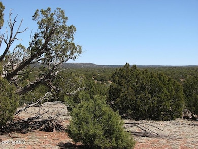 9529 Southern Ln, Show Low, AZ 85901 - photo 6