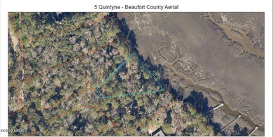 5 Quintyne Aerial