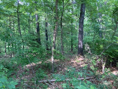 Lot 10 Brierton Ln, Bella Vista, AR 72715 - photo 2