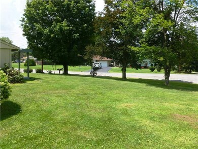 Yard/Garden. Front yard!