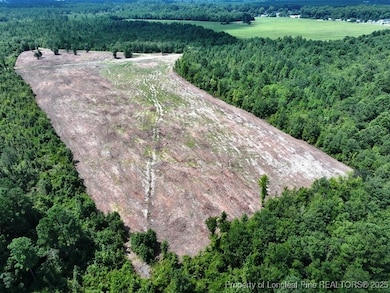 TBD Alamac Rd, Lumberton, NC 28358 - photo 2