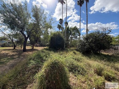 00 Botts Ave, Harlingen, TX 78552 - photo 5