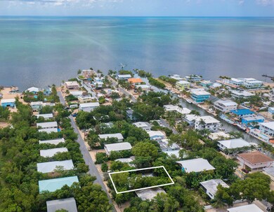 Neighborhood Aerial View