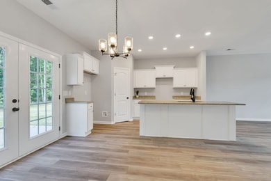 223 Hannah Lee Hill, La Vergne, TN 37086 - photo 7