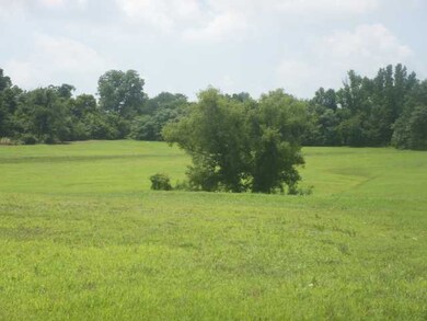 7 Braden Ln, Mason, TN 38049 - photo 2