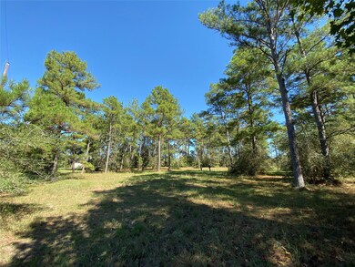 000 Tudor Way, Magnolia, TX 77355 - photo 5