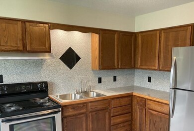 437 E Marion St unit 2W, Princeton, IL 61356 - photo 2