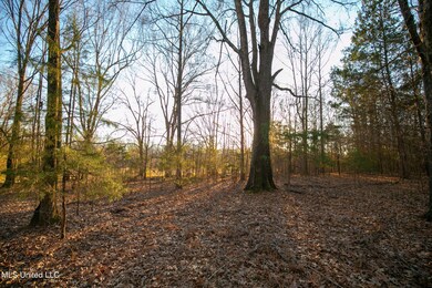 79-web-or-mls-280 McCullough-69