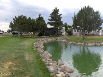 8233 Caddie's Way Lot #215 Way, Show Low, AZ 85901 - photo 4