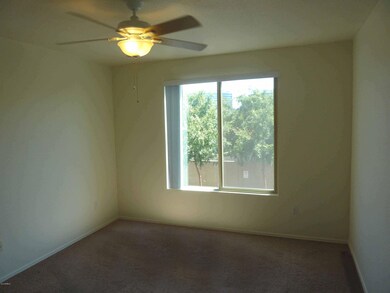 Master Bedroom Window