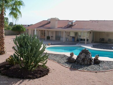 Backyard 1