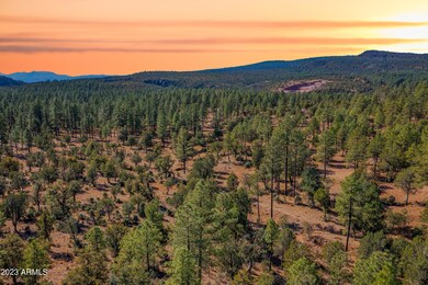 0 Fawn Dr unit 5 6890810, Pine, AZ 85544 - photo 2