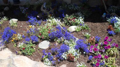 Front Flower bed