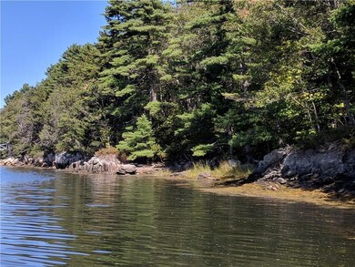 Water's edge with classic pines,...