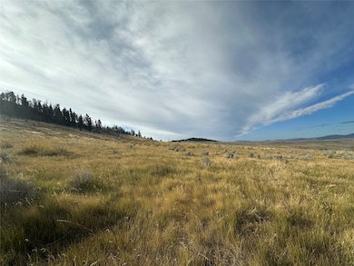 Nhn Mayn Creek Rd, White Sulphur Springs, MT 59645 - photo 4