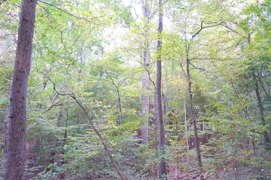 TBD Bob o Link Rd, Gilmer, TX 75645 - photo 2