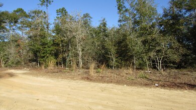 another view of lots
