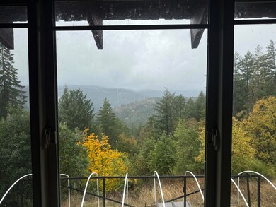 0000 Saber Tooth Rd, Willow Creek, CA 95525 - photo 6