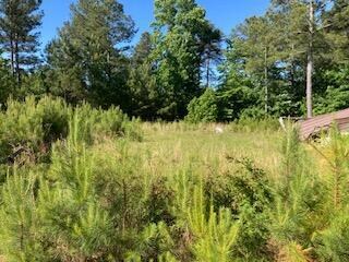 0 Waterford Ln unit 1355321, Rocky Face, GA 30740 - photo 3